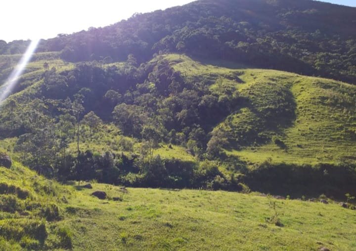 Fazenda à venda com 3 quartos, 726000m² - Foto 13