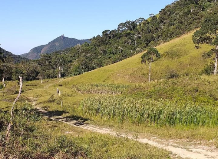 Fazenda à venda com 3 quartos, 726000m² - Foto 17